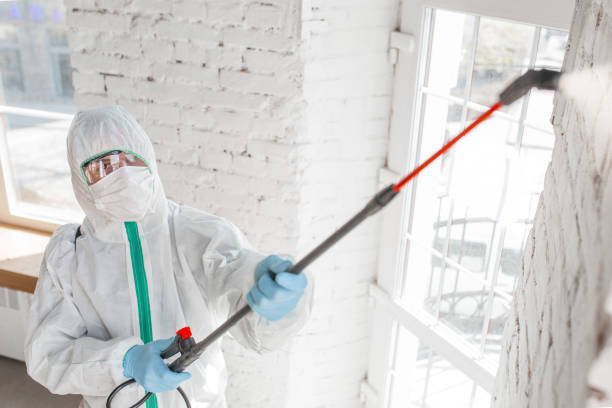 Best Mold Removal for HVAC Installations  in USA